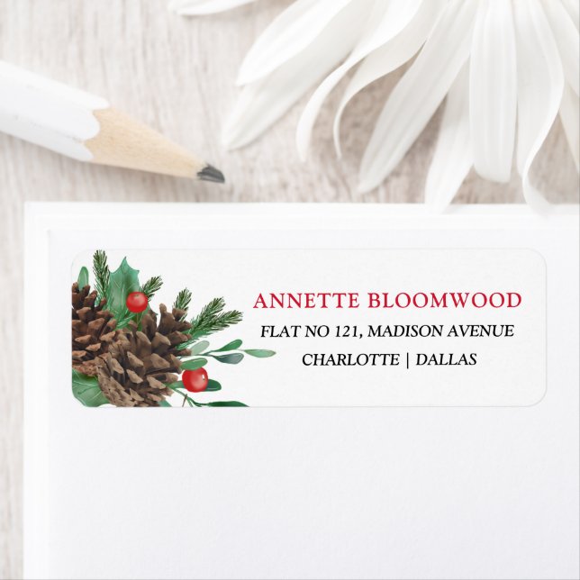 Pinecones Piazza della Riforma Blätter (Insitu)