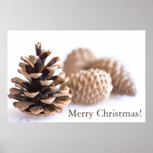 Pinecones Poster