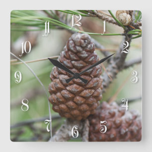 Pinecones Quadratische Wanduhr