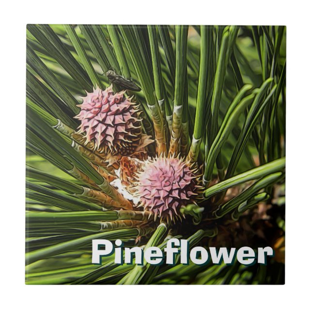 Pineflower Fliese (Vorderseite)