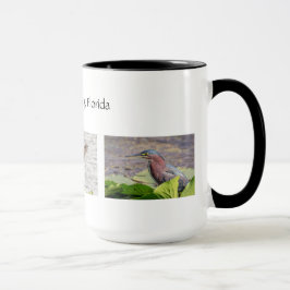 Pinellas Landkreis Florida Tasse