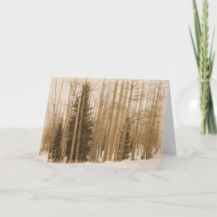 Pines in Mix - Blank Inside Grußkarte Karte