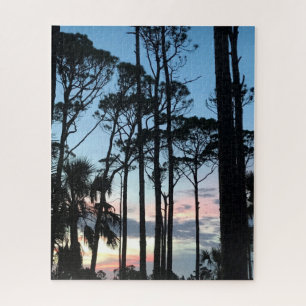 Pines Pink Blue Sunset Beach Florida