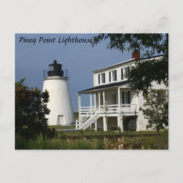 Piney Point Lighthouse Postkarte (Vorderseite)