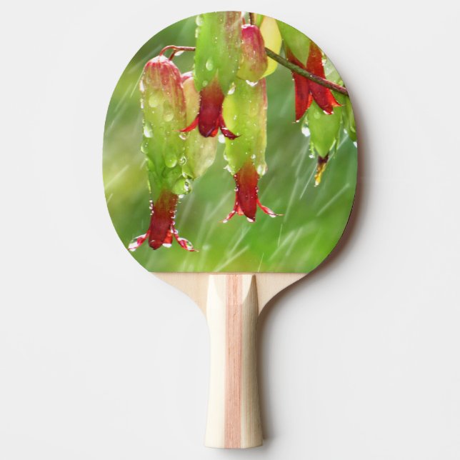 Ping Pong Paddle Swing mit modischer Paddel Tischtennis Schläger (Vorderseite)