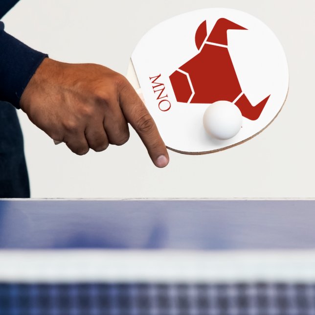 Ping Pong Paddle Tischtennis Schläger (InSitu)