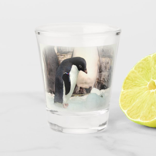 Pingouin Adélie Verre de tir (Devant)