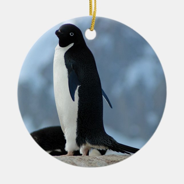 Pingouin en ornement de l'Antarctique (Devant)