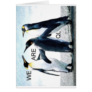 pingouins