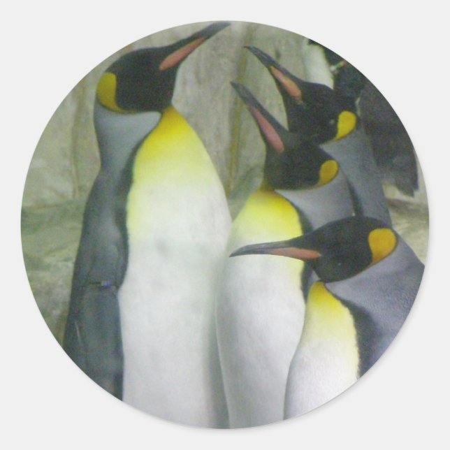 pingouins, autocollants (Devant)