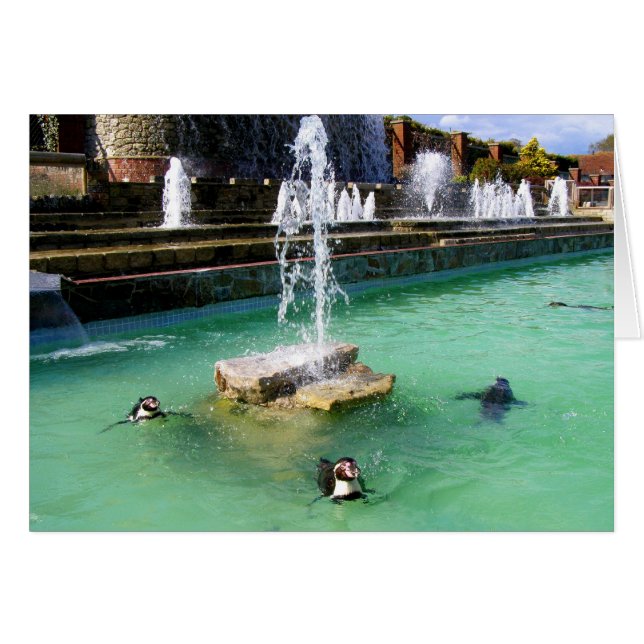 Pingouins Humboldt et fontaines (Devant horizontal)