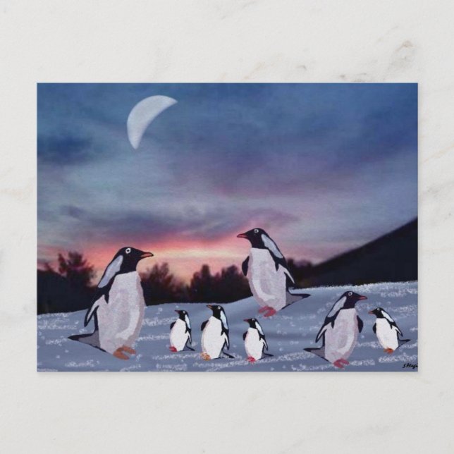 Pingouins sur cartes postales de glace (Devant)