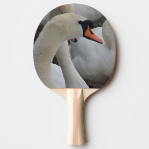 Pingpongpaddel mit weißem Schwanz, roter Gummi hin Tischtennis Schläger