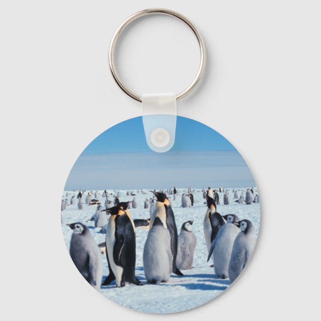 Pinguin-Ansammlung Schlüsselanhänger (Vorderseite)
