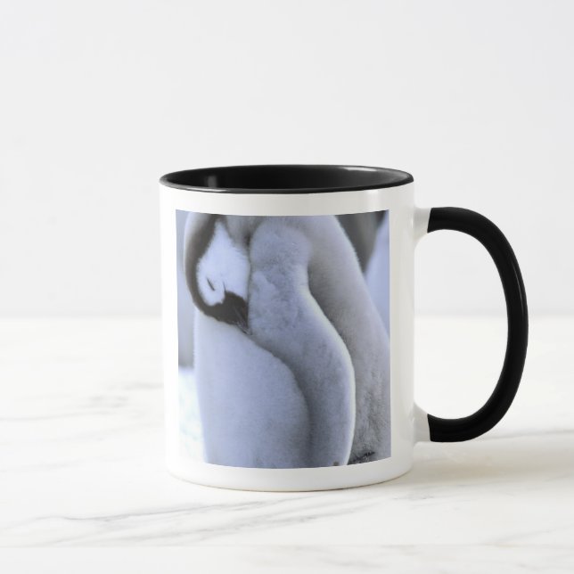 Pinguin | Antarktische Halbinsel, Weddellsee Tasse (Rechts)