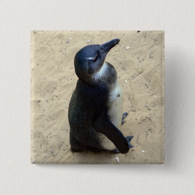 Pinguin auf Sand Button (Vorderseite)