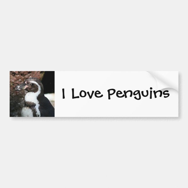 Pinguin-Autoaufkleber Autoaufkleber (Vorne)