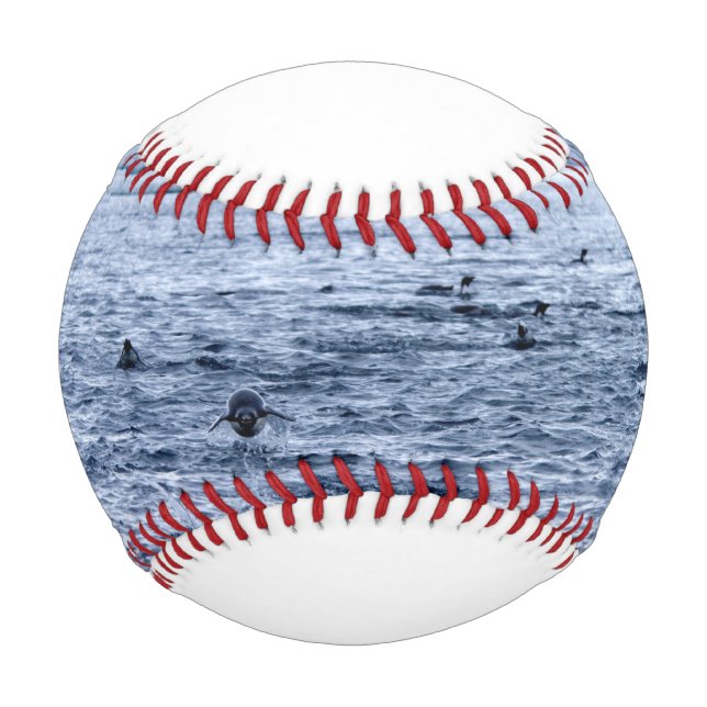 Pinguin Baseball (Vorderseite)