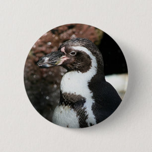 Pinguin Button