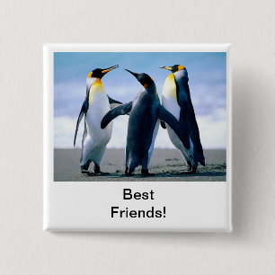 Pinguin Button