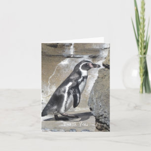 Pinguin Danke