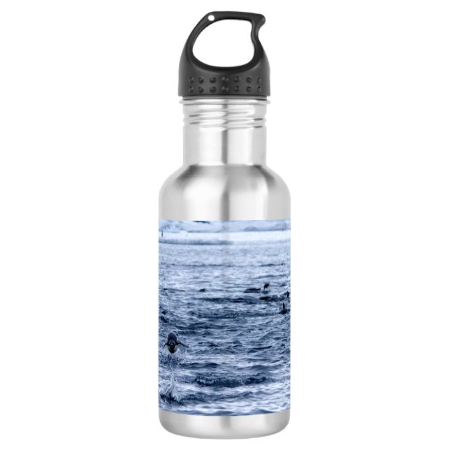 Pinguin Edelstahlflasche (Vorderseite)
