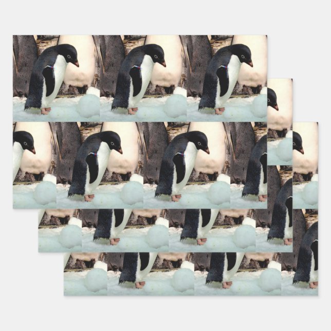 Pinguin - Faltpapierblätter Geschenkpapier Set (Set)