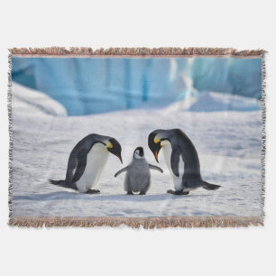 Pinguin Family Throw Blanket Decke