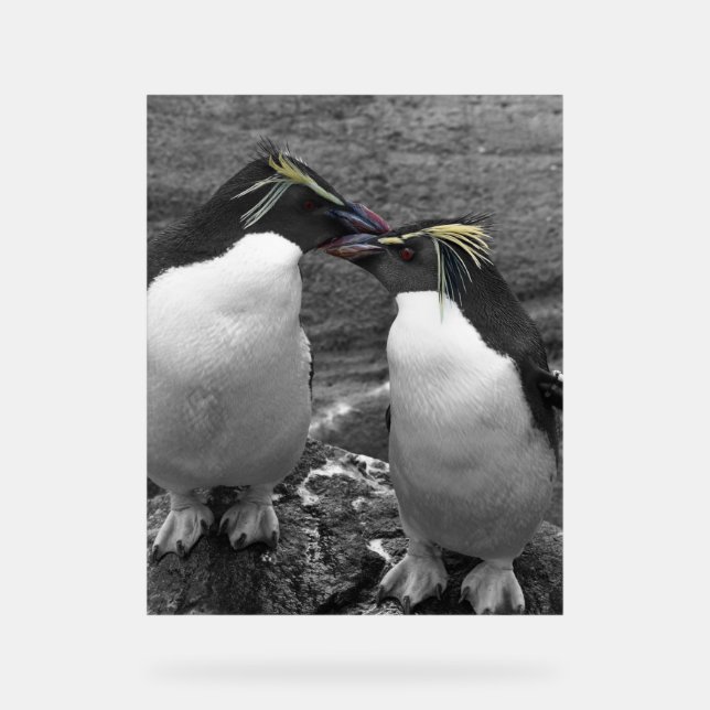 Pinguin-Farbspritzer Acrylschild (Vorderseite)