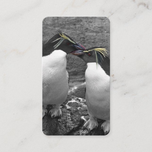 Pinguin-Farbtupfer Visitenkarte (Vorderseite)