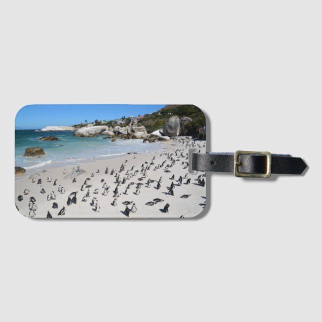Pinguin-Flussstein-Strand | Südafrika Gepäckanhänger (Vorderseite (Horizontal))