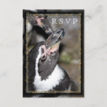 Pinguin Foto Zoo Wedding RSVP Cards