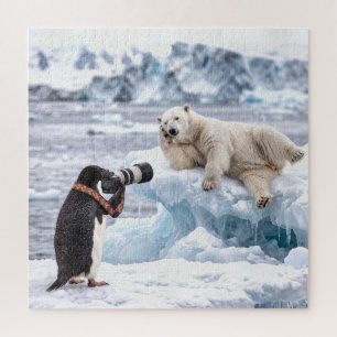 Pinguin fotografiert einen posierenden Eisbären