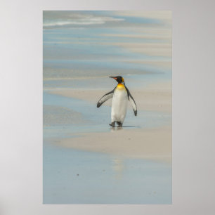 Pinguin geht am Strand Poster