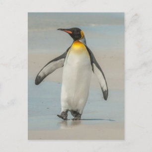 Pinguin geht am Strand Postkarte