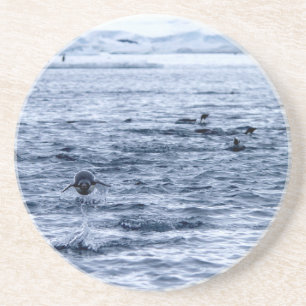 Pinguin Getränkeuntersetzer