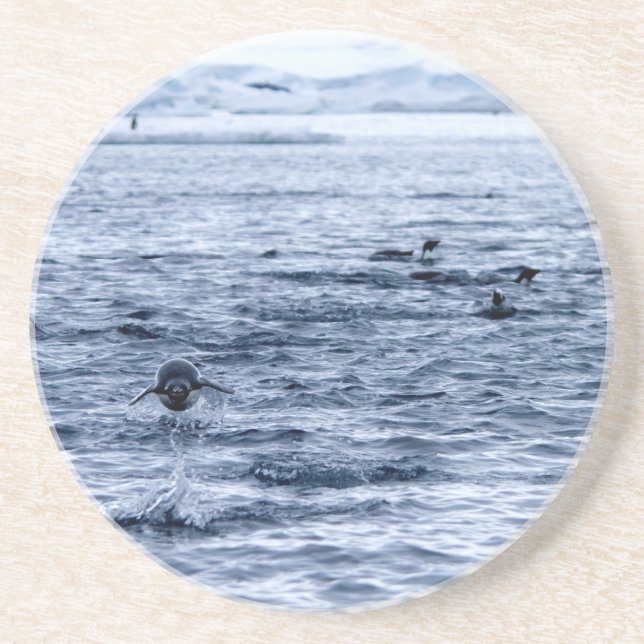 Pinguin Getränkeuntersetzer (Vorne)