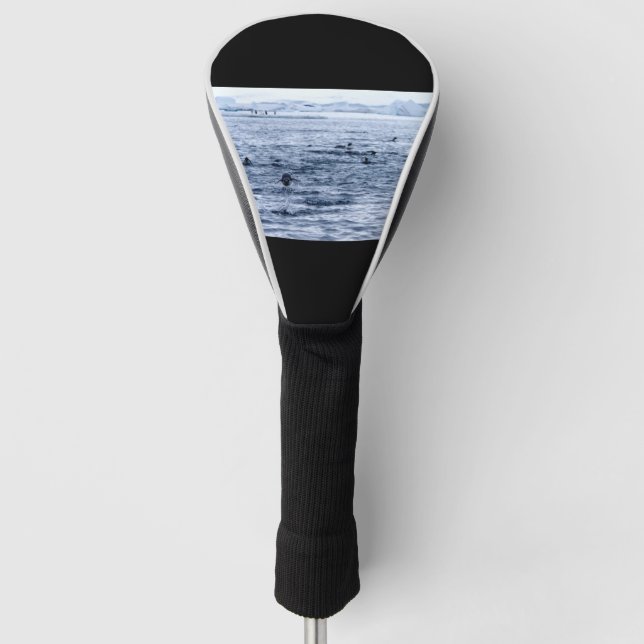 Pinguin Golf Headcover (Vorderseite)