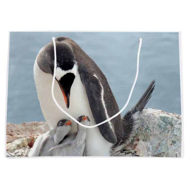 Pinguin Große Geschenktüte (Vorderseite)