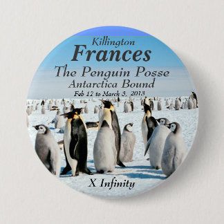 Pinguin-Gruppe der Unendlichkeits-Antarktis im Button