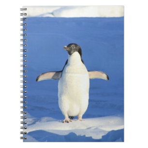 Pinguin im Schnee-Notebook Notizblock