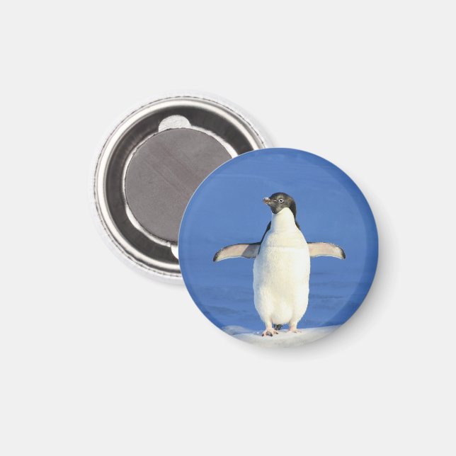 Pinguin im Schneemagnet Magnet (Vorderseite/Rückseite)