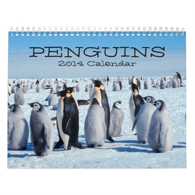 Pinguin-Kalender Kalender (Titelbild)