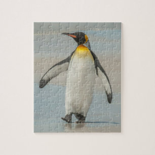Pinguin läuft am Strand entlang