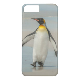 Pinguin läuft am Strand entlang title_seo2