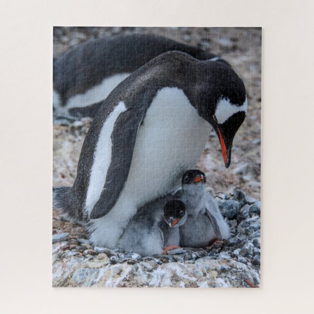 Pinguin mit Nest und Küken auf Eis (Vertikal)
