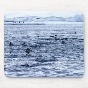 Pinguin Mousepad