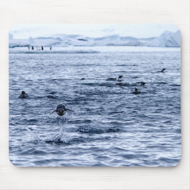 Pinguin Mousepad (Vorne)