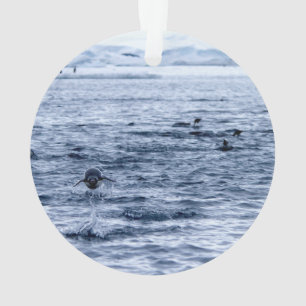 Pinguin Ornament