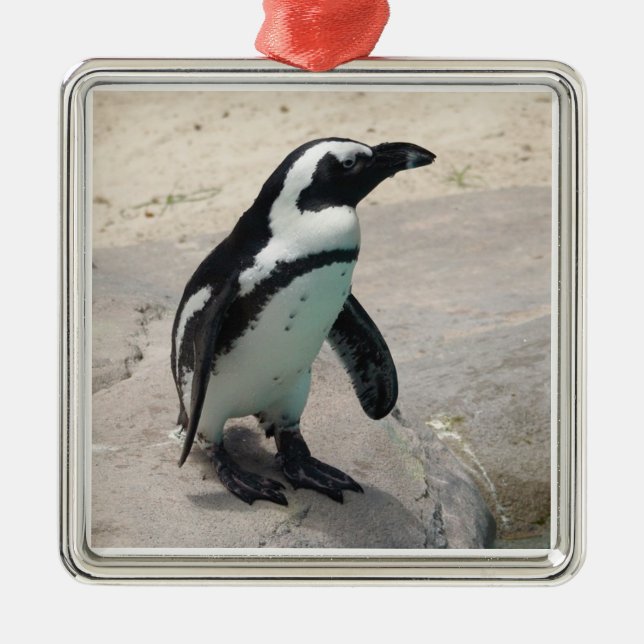 Pinguin Ornament Aus Metall (Vorne)